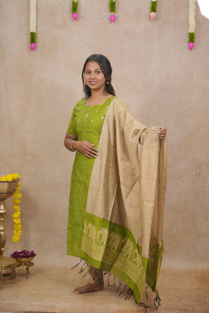 Green zari checked pattern salwar sets